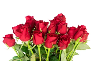Plaid avec motif Roses Red blooming roses