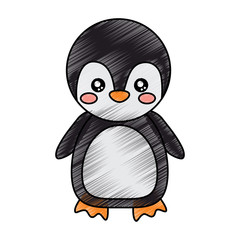 penguin cute animal icon image vector illustration design  sketck style