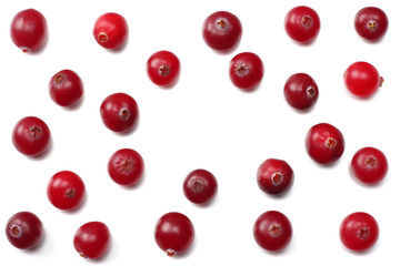 Cranberry isolated on white. With clipping path. Full depth of field. top view