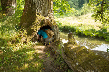 Geocaching, a man looking for a hide in a wooden cavity
