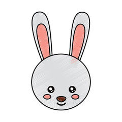 cute animal rabbit head baby vector illustration drawing design