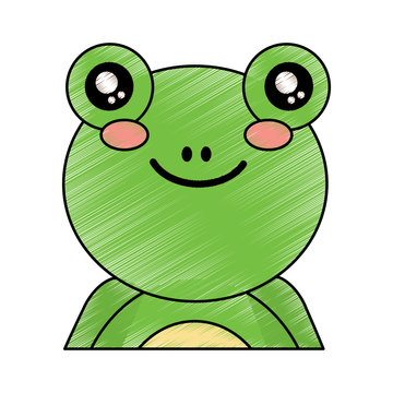 cute portrait frog animal baby vector illustration drawing design
