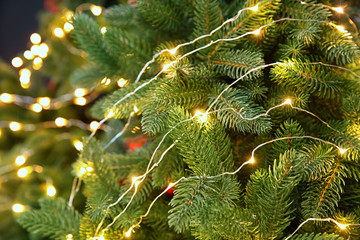Glowing lights on Christmas tree, closeup