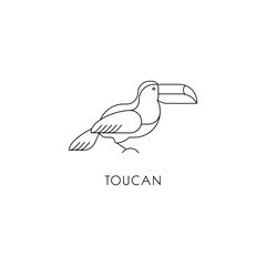 Obraz premium Toucan outline icon