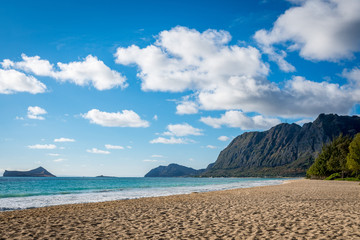 Obraz premium Hawaiian Beach