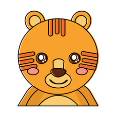 cute portrait tiger animal baby vector illustration