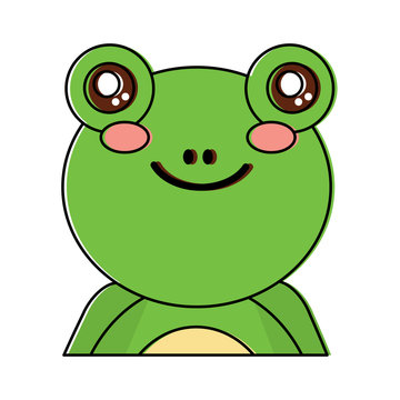 cute portrait frog animal baby vector illustration