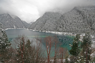 snowy trees on mountain with lake in the foreground