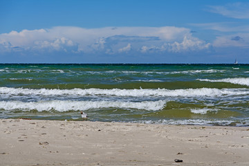 Beach at Baltic Sea, Germany