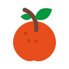 Orange citric fruit icon vector illustration graphic design