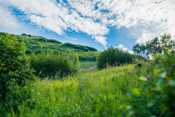 Alaskan mountain field