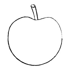 apple whole  fruit icon image vector illustration design  black sketch line