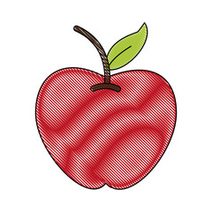 Apple fruit symbol icon vector illustration graphic design