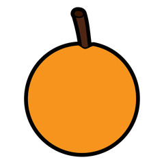 orange fresh fruit food healthy vector illustration
