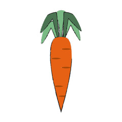 Carrot fresh vegetable icon vector illustration graphic design