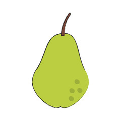 Pear fruit symbol icon vector illustration graphic design