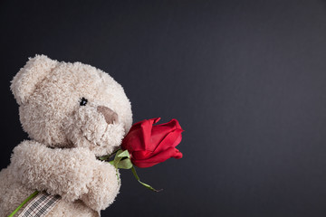 Teddy Bear holding a red rose in front of a blackboard