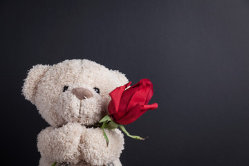 Teddy Bear holding a red rose in front of a blackboard