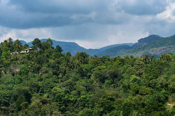 Obraz premium Scenic view of Srilankan mountain forest