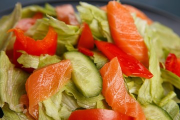 Delicious fresh vegetable salad with salmon, healthy food close up