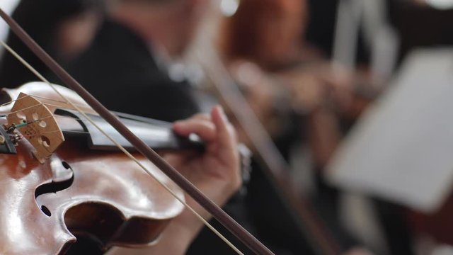 live concert, woman plays on wooden violin classical music on a blurred background indoors