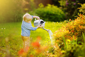 Cute toddler boy watering plants in the garden at summer sunny day