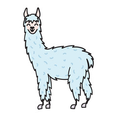 Hand drawn Peru animal, alpaca, vicuna. 