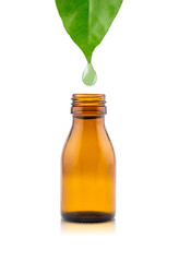 Herbal essence. Alternative healthy medicine.