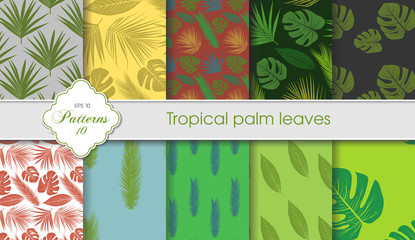 Vector hand drawing set of tropical backgrounds. Palm leaves samples. Postcards, certificates, letterheads, greeting cards, fabrics
