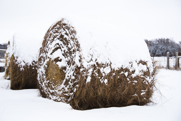 Hay Bales covered in snow in Springfield, Missouri during winter.