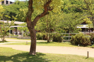 木