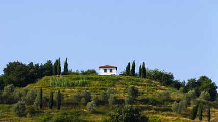 Fototapeta premium Idyllic and scenic countryside landscape - field, forest and hill - Tuscany, Italy; tourism, travel, vacation; background.