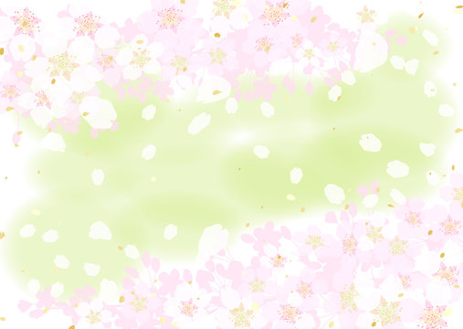 桜　桃