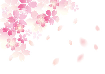 優しい桜 和柄 白 © ヨーグル