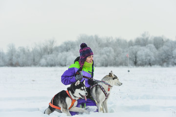 Siberian Husky closeup. Beautiful girl with husky. winter