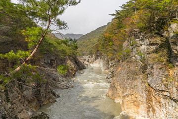 Ryuou Valley , Stream of the Kinugawa River at Nikko in autumn