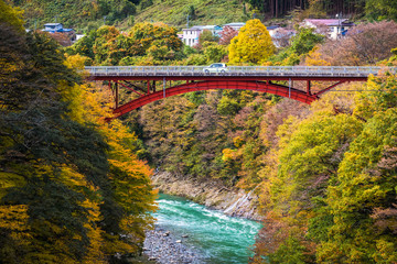 Fototapeta na wymiar autumn valley in autumn at Fukushima prefecture