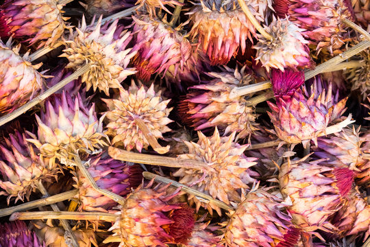 dried pink ar cardoni artichoke heads flowers in wooden box