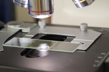 Close up of microscope at the blood laboratory	