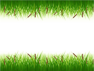 Papyrus bush, green color vector image on a white background