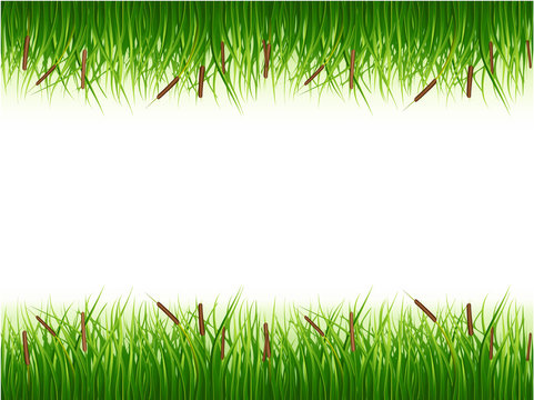 Papyrus bush, green color vector image on a white background