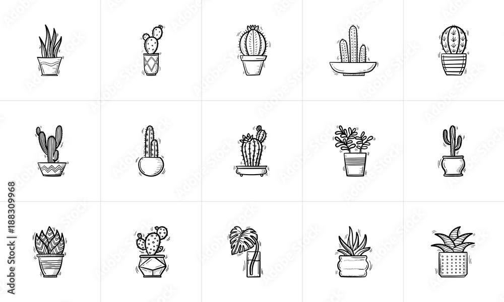 Wall mural decorative potted house plants and flowers sketch icon set for web, mobile and infographics. hand dr