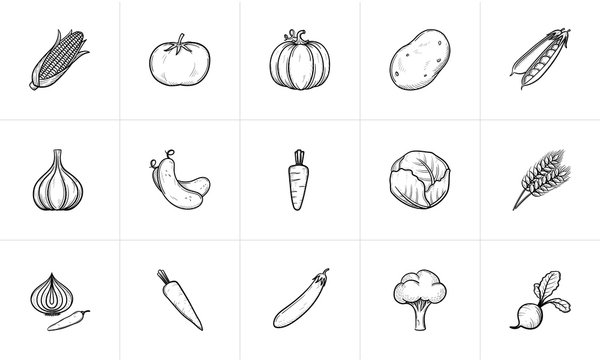 Agriculture food sketch icon set for web, mobile and infographics. Hand drawn Agriculture food vector icon set isolated on white background.