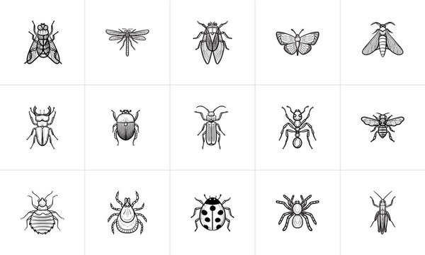 Insects sketch icon set for web, mobile and infographics. Hand drawn Insects vector icon set isolated on white background.