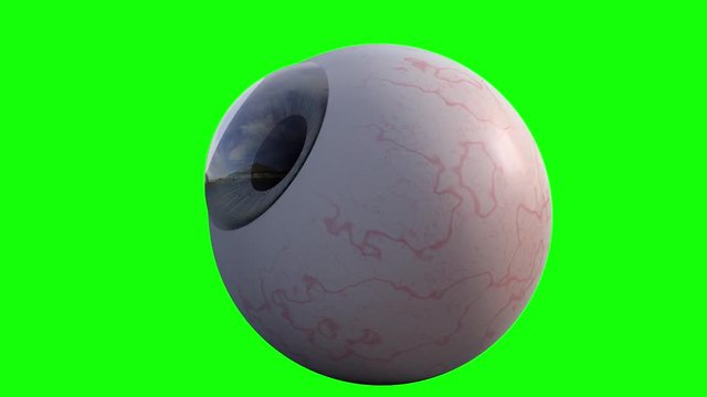 3D animation - Human eye looking around