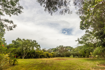 Obraz premium natureza