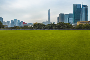 Fototapeta premium The grass and the city in Shenzhen, China.