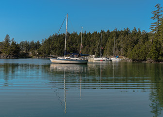 sailing boats parking at Smuggler Cove Marine Provincial Park,BC Canada