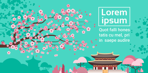 Sakura Blossom Over Korea Temple Or Palace Landscape South Korean Famous Landmark View Flat Vector Illustration