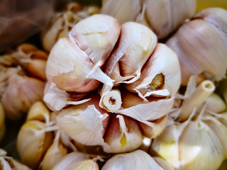 A bunch of fresh garlic in Thai bazaar, which are for sale. Full frame, selective focus and copy space.